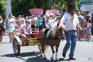 photographe-reportage-evenements-corso-defile-fetes-equestre-landes-aire-sur-adour-charette